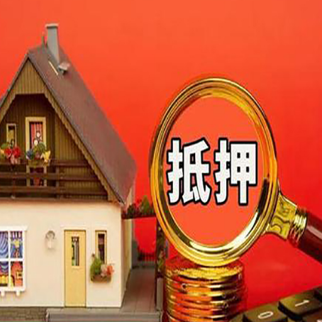 绿园贷款买房后可以提前还部分本金吗?